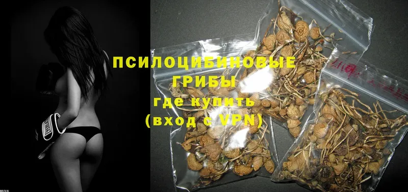 Галлюциногенные грибы Magic Shrooms  blacksprut как зайти  Асино 